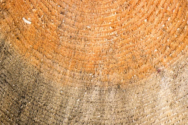 Líneas y texturas de madera abstractas — Foto de Stock