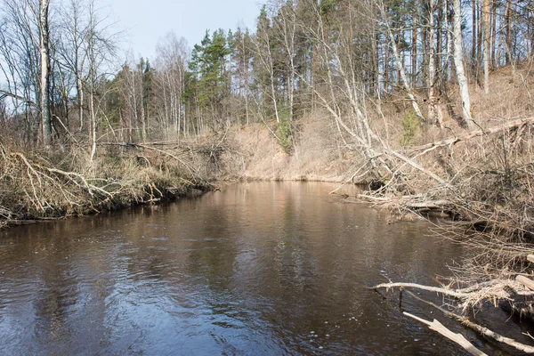 Rivière pittoresque de couleur de printemps dans le pays — Photo