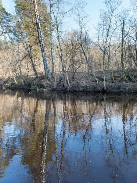 Malerischer frühlingshafter Fluss im Land — Stockfoto