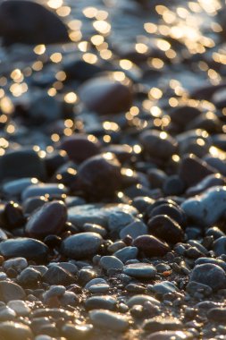plaj ve deniz suyu taşı