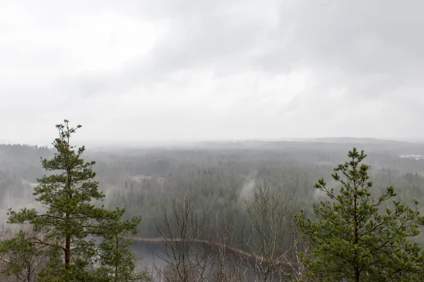 Panoramiczny widok z mglistych lasów tropikalnych — Zdjęcie stockowe