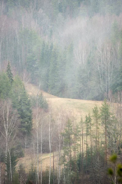 Panoramiczny widok z mglistych lasów tropikalnych — Zdjęcie stockowe