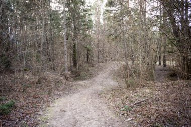 Bahar boş ülkede yol