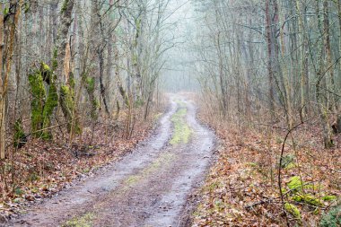 Bahar boş ülkede yol