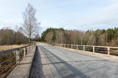 Bahar boş ülkede yol