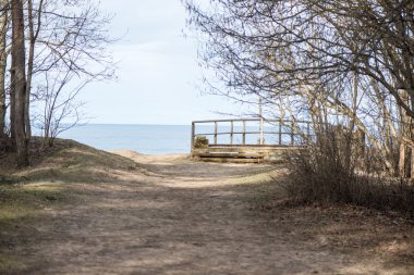 Bahar boş ülkede yol