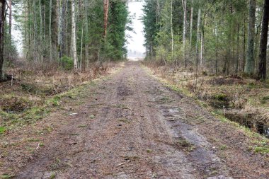 Bahar boş ülkede yol