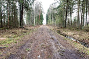 Bahar boş ülkede yol