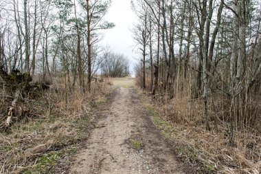 Bahar boş ülkede yol