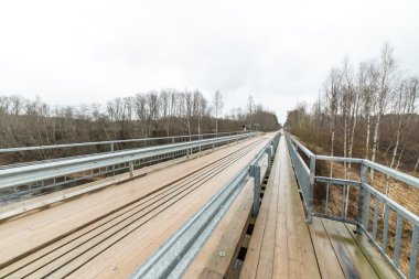 Bahar boş ülkede yol