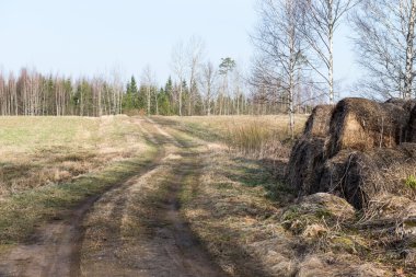Bahar boş ülkede yol