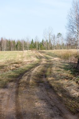 Bahar boş ülkede yol