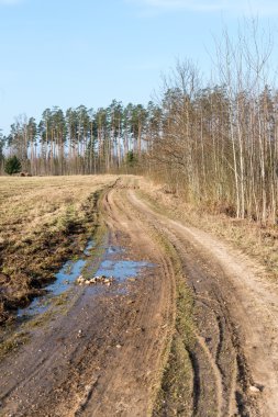 Bahar boş ülkede yol