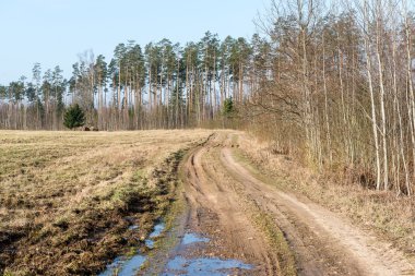 Bahar boş ülkede yol