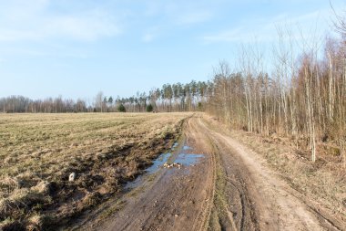 Bahar boş ülkede yol