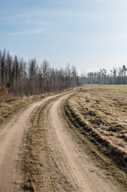Bahar boş ülkede yol