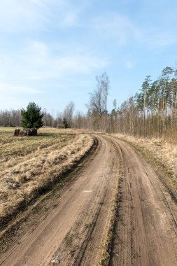Bahar boş ülkede yol