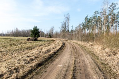 Bahar boş ülkede yol