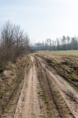 Bahar boş ülkede yol
