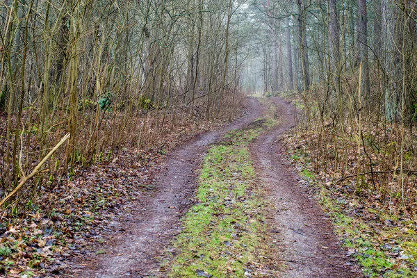 Estrada rural vazia na primavera — Fotografia de Stock