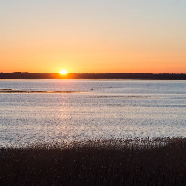 Красивый восход солнца над сельским озером — стоковое фото