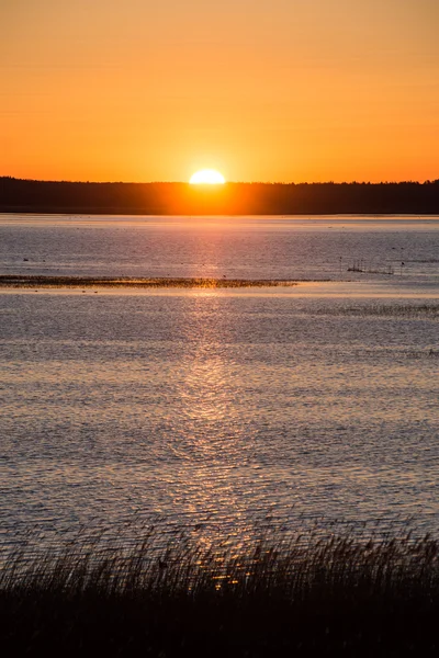 Bella alba sul lago di campagna — Foto Stock