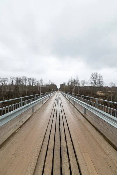 Camino de campo vacío en primavera — Foto de Stock