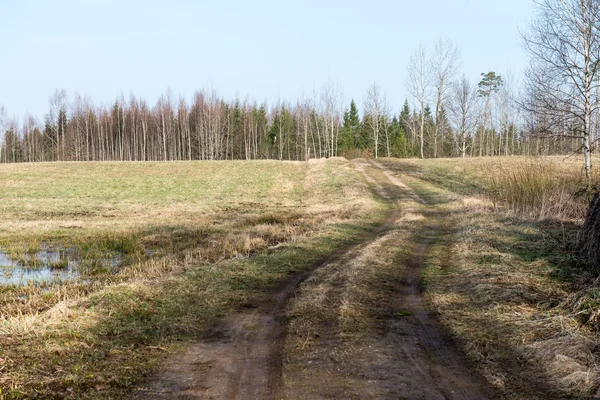 Bahar boş ülkede yol