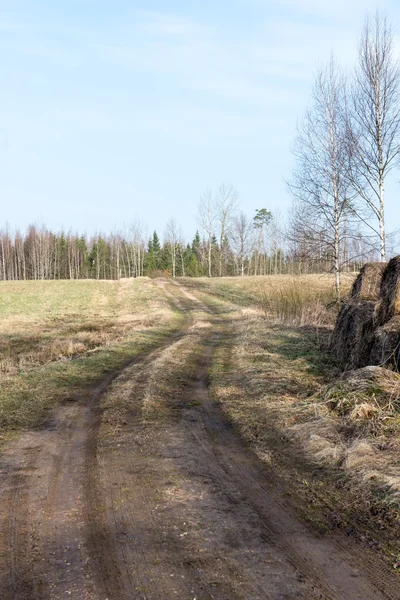 Bahar boş ülkede yol