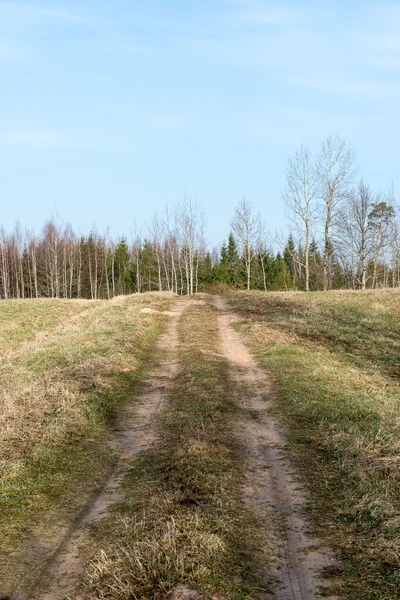Bahar boş ülkede yol