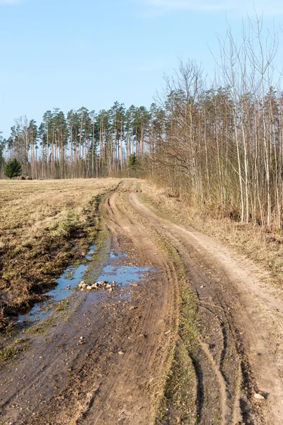 Bahar boş ülkede yol
