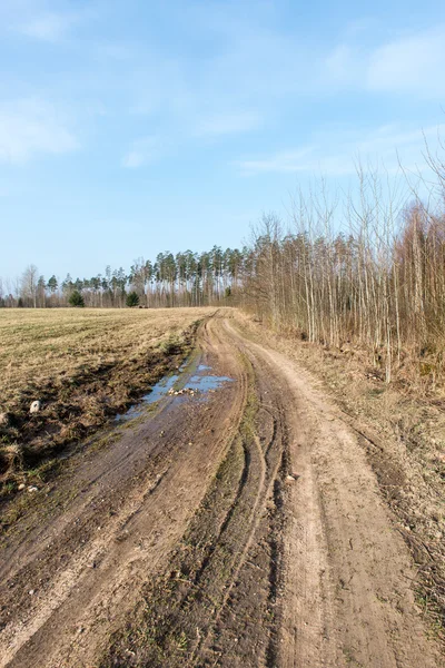 Bahar boş ülkede yol