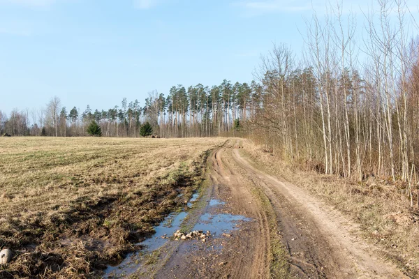 Bahar boş ülkede yol