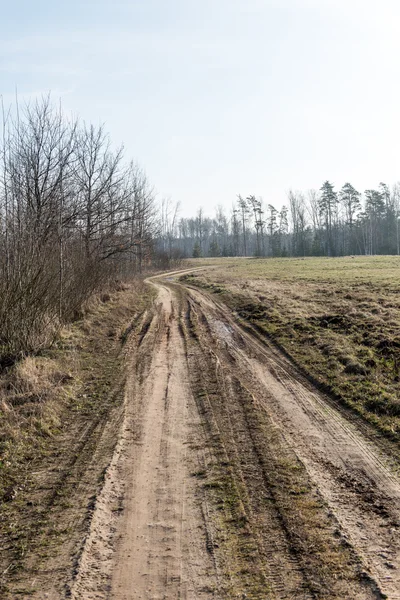 Bahar boş ülkede yol