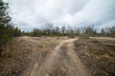 Bahar boş ülkede yol