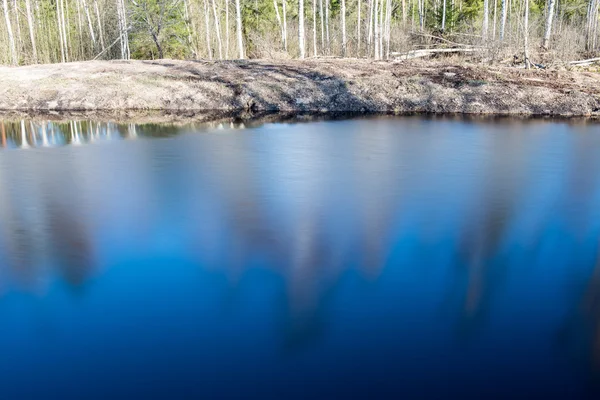 Отражения деревьев в воде — стоковое фото