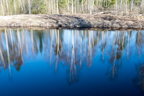 Отражения деревьев в воде — стоковое фото