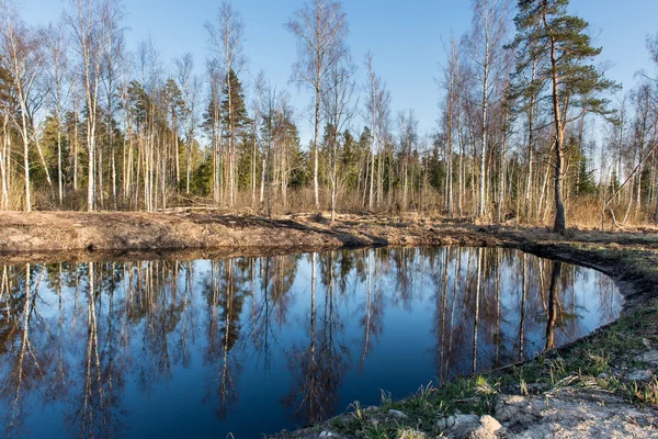 Reflecties van bomen in het water — Stockfoto