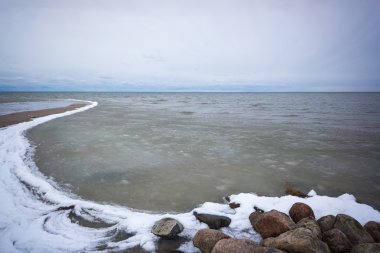 eski ağaç gövdeleri ve bulutlar ile vahşi beach