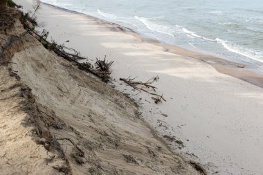 eski ağaç gövdeleri ve bulutlar ile vahşi beach