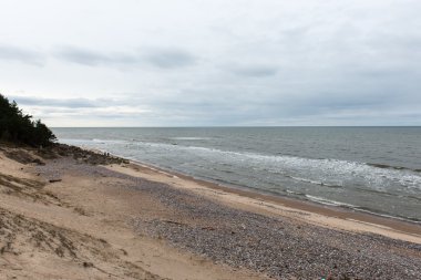 eski ağaç gövdeleri ve bulutlar ile vahşi beach