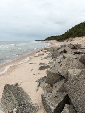 eski ağaç gövdeleri ve bulutlar ile vahşi beach