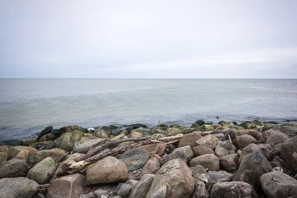 Wild beach med gamla trädstammar och moln — Stockfoto