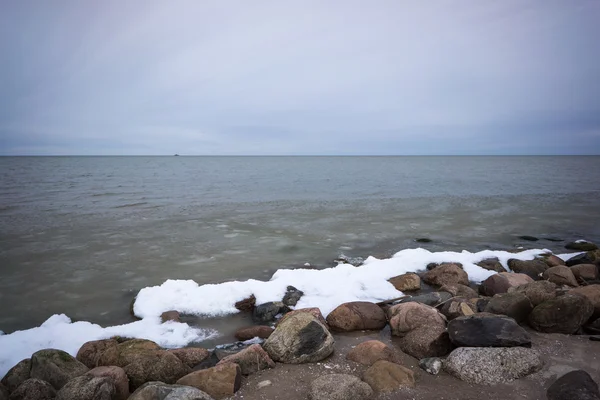 Plage sauvage avec vieux troncs d'arbres et nuages — Photo