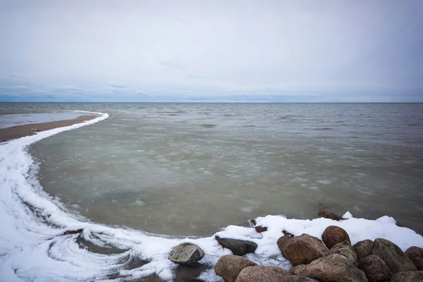 Plage sauvage avec vieux troncs d'arbres et nuages — Photo