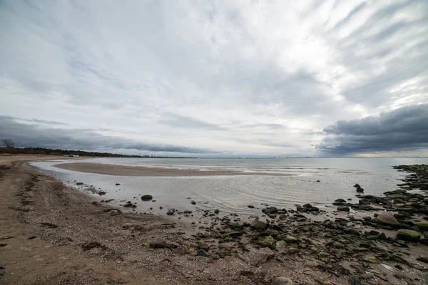 Wild strand met oude boomstammen en wolken — Stockfoto