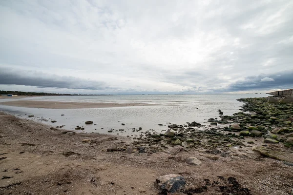 Wild strand met oude boomstammen en wolken — Stockfoto