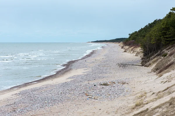 Playa salvaje con troncos de árboles viejos y nubes —  Fotos de Stock