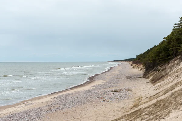 Wild beach, öreg fatörzsek és a felhők — Stock Fotó