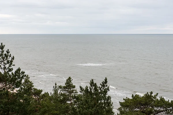 Praia selvagem com troncos de árvores velhas e nuvens — Fotografia de Stock